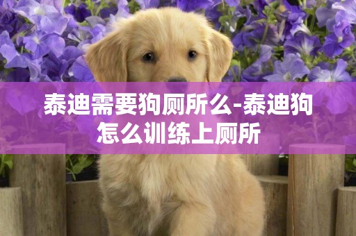 泰迪需要狗廁所么-泰迪狗怎么訓練上廁所