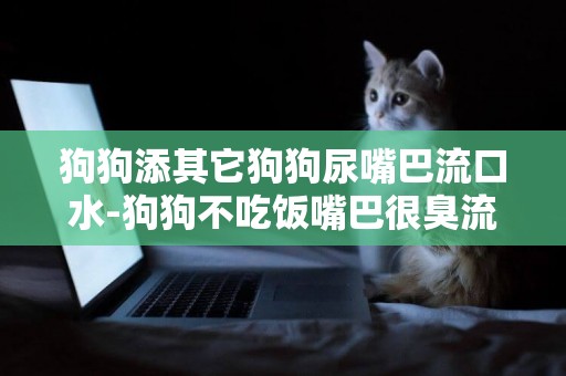 狗狗添其它狗狗尿嘴巴流口水-狗狗不吃飯嘴巴很臭流口水