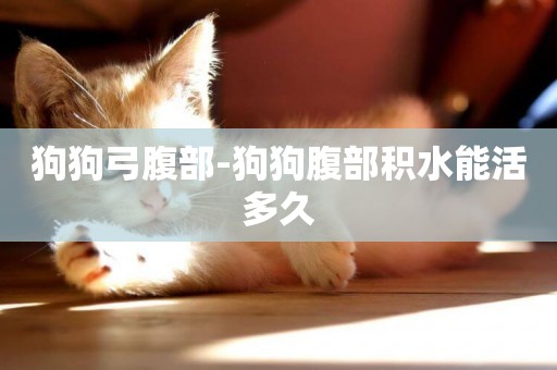 狗狗弓腹部-狗狗腹部積水能活多久
