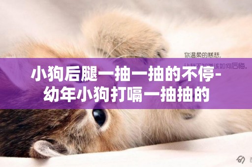 小狗后腿一抽一抽的不停-幼年小狗打嗝一抽抽的