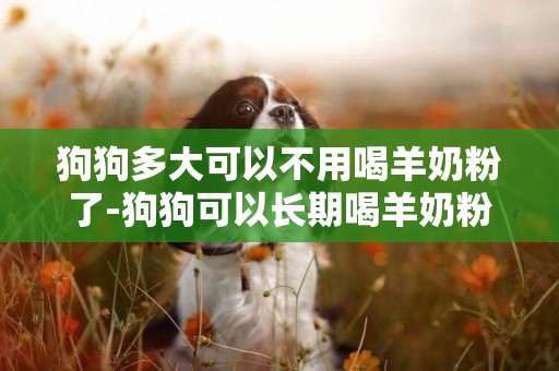 狗狗多大可以不用喝羊奶粉了-狗狗可以長期喝羊奶粉嗎
