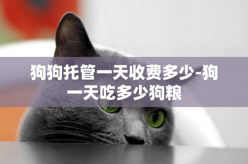 狗狗托管一天收費多少-狗一天吃多少狗糧