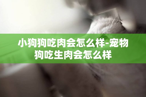 小狗狗吃肉會怎么樣-寵物狗吃生肉會怎么樣