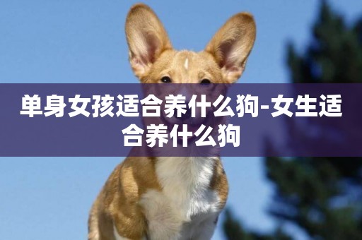 單身女孩適合養什么狗-女生適合養什么狗