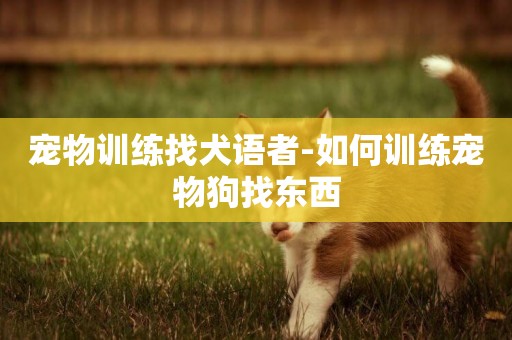寵物訓練找犬語者-如何訓練寵物狗找東西