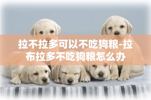 拉不拉多可以不吃狗糧-拉布拉多不吃狗糧怎么辦