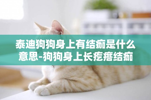 泰迪狗狗身上有結痂是什么意思-狗狗身上長疙瘩結痂是什么原因