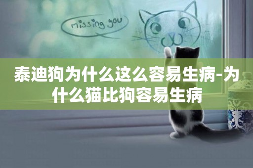 泰迪狗為什么這么容易生病-為什么貓比狗容易生病
