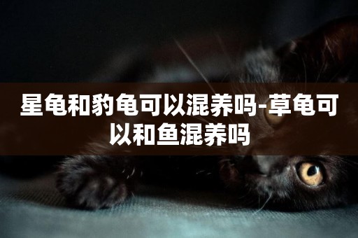 星龜和豹龜可以混養嗎-草龜可以和魚混養嗎
