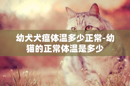 幼犬犬瘟體溫多少正常-幼貓的正常體溫是多少
