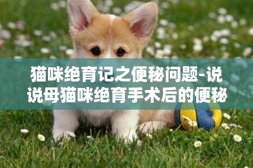 貓咪絕育記之便秘問題-說說母貓咪絕育手術后的便秘問題