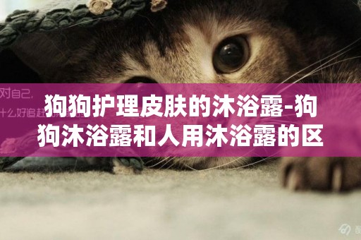 狗狗護理皮膚的沐浴露-狗狗沐浴露和人用沐浴露的區別