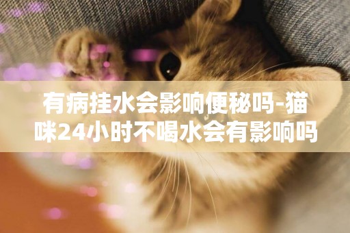 有病掛水會影響便秘嗎-貓咪24小時不喝水會有影響嗎