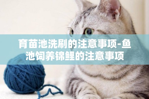 育苗池洗刷的注意事項-魚池飼養錦鯉的注意事項