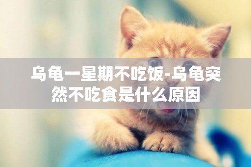 烏龜一星期不吃飯-烏龜突然不吃食是什么原因