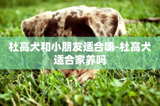 杜高犬和小朋友適合嘛-杜高犬適合家養嗎