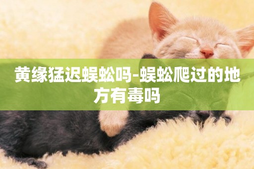 黃緣猛遲蜈蚣嗎-蜈蚣爬過的地方有毒嗎