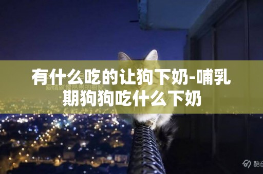有什么吃的讓狗下奶-哺乳期狗狗吃什么下奶