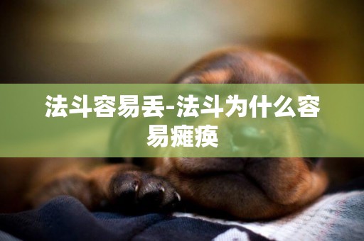 法斗容易丟-法斗為什么容易癱瘓