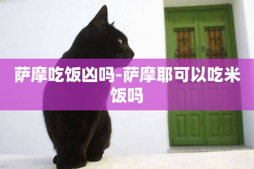 薩摩吃飯兇嗎-薩摩耶可以吃米飯嗎