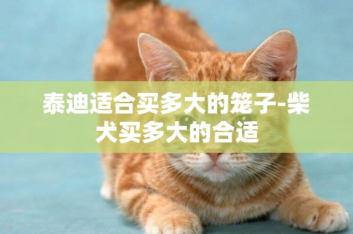 泰迪適合買多大的籠子-柴犬買多大的合適