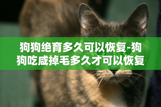 狗狗絕育多久可以恢復-狗狗吃咸掉毛多久才可以恢復