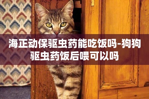 海正動保驅蟲藥能吃飯嗎-狗狗驅蟲藥飯后喂可以嗎