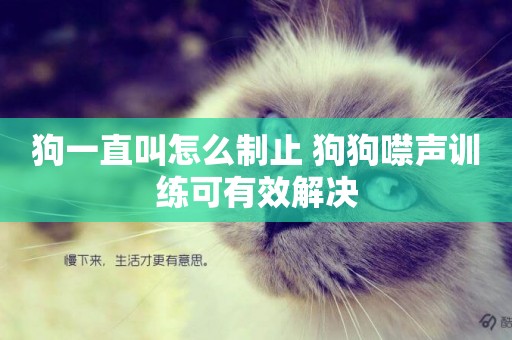狗一直叫怎么制止 狗狗噤聲訓練可有效解決