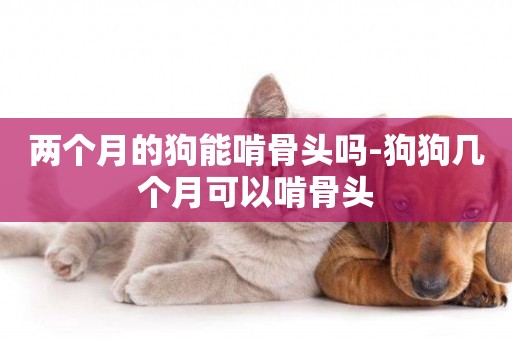 兩個月的狗能啃骨頭嗎-狗狗幾個月可以啃骨頭