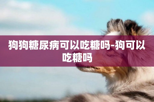 狗狗糖尿病可以吃糖嗎-狗可以吃糖嗎