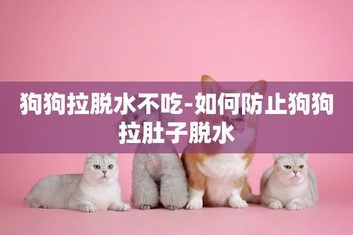 狗狗拉脫水不吃-如何防止狗狗拉肚子脫水