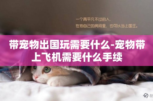 帶寵物出國玩需要什么-寵物帶上飛機需要什么手續