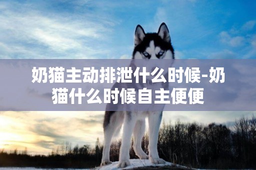 奶貓主動排泄什么時候-奶貓什么時候自主便便
