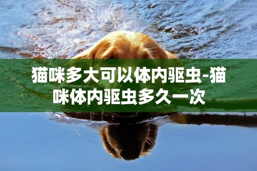 貓咪多大可以體內驅蟲-貓咪體內驅蟲多久一次