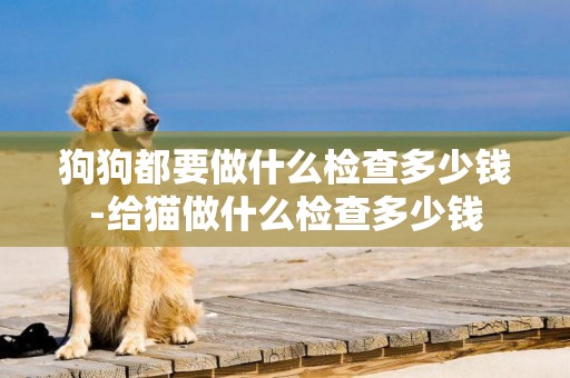 狗狗都要做什么檢查多少錢-給貓做什么檢查多少錢