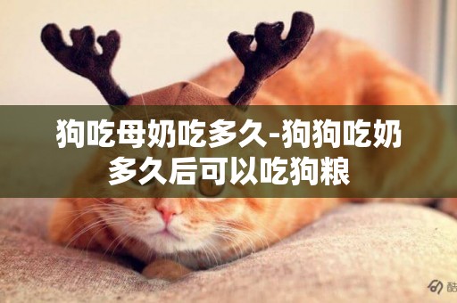 狗吃母奶吃多久-狗狗吃奶多久后可以吃狗糧