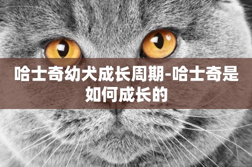 哈士奇幼犬成長周期-哈士奇是如何成長的