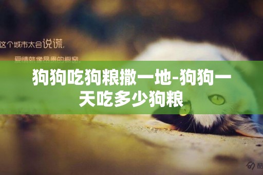 狗狗吃狗糧撒一地-狗狗一天吃多少狗糧