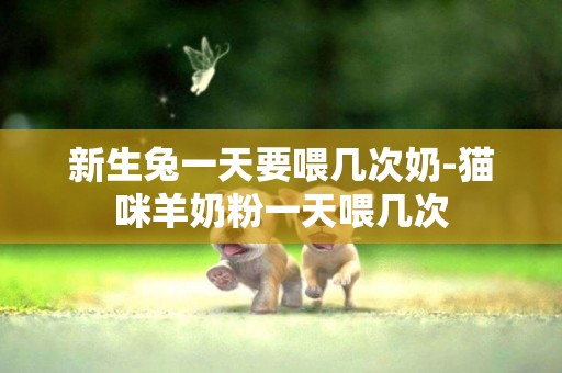 新生兔一天要喂幾次奶-貓咪羊奶粉一天喂幾次
