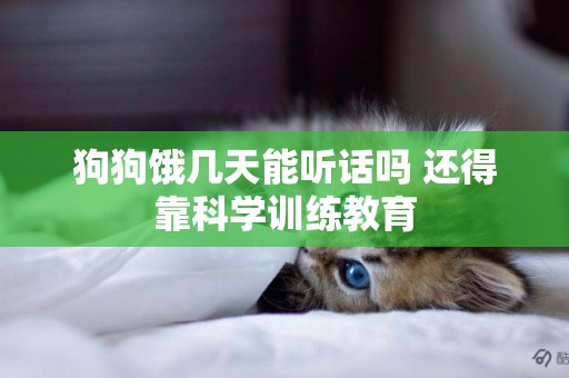狗狗餓幾天能聽話嗎 還得靠科學訓練教育