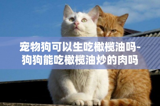 寵物狗可以生吃橄欖油嗎-狗狗能吃橄欖油炒的肉嗎