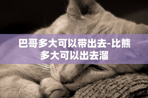 巴哥多大可以帶出去-比熊多大可以出去溜