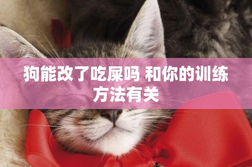 狗能改了吃屎嗎 和你的訓練方法有關