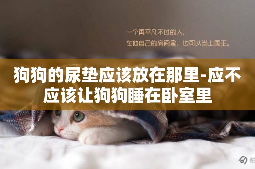 狗狗的尿墊應該放在那里-應不應該讓狗狗睡在臥室里