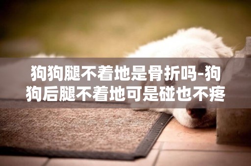 狗狗腿不著地是骨折嗎-狗狗后腿不著地可是碰也不疼