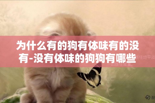 為什么有的狗有體味有的沒有-沒有體味的狗狗有哪些