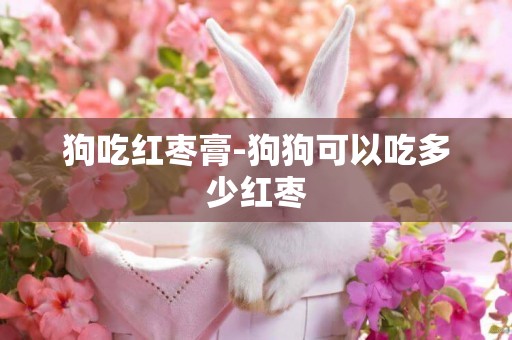 狗吃紅棗膏-狗狗可以吃多少紅棗