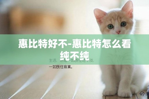 惠比特好不-惠比特怎么看純不純