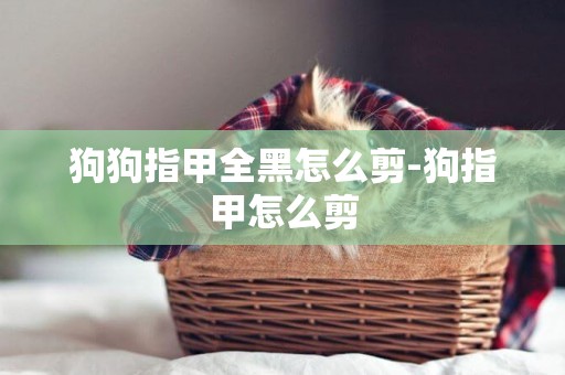 狗狗指甲全黑怎么剪-狗指甲怎么剪