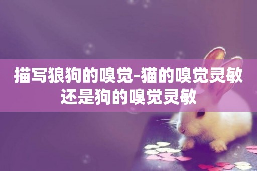 描寫狼狗的嗅覺-貓的嗅覺靈敏還是狗的嗅覺靈敏